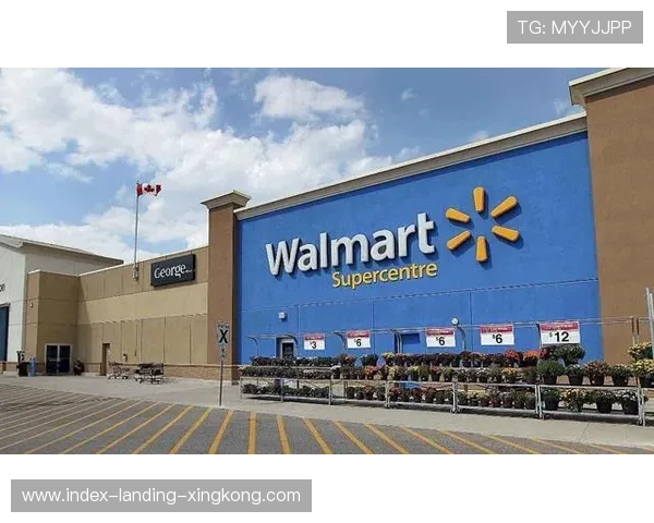 未来冠军的“潜力股”都有哪些？走在时代前沿的新星揭秘